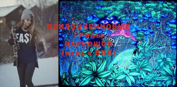 амф Аркадак